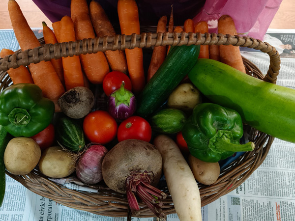 Vegetables Day